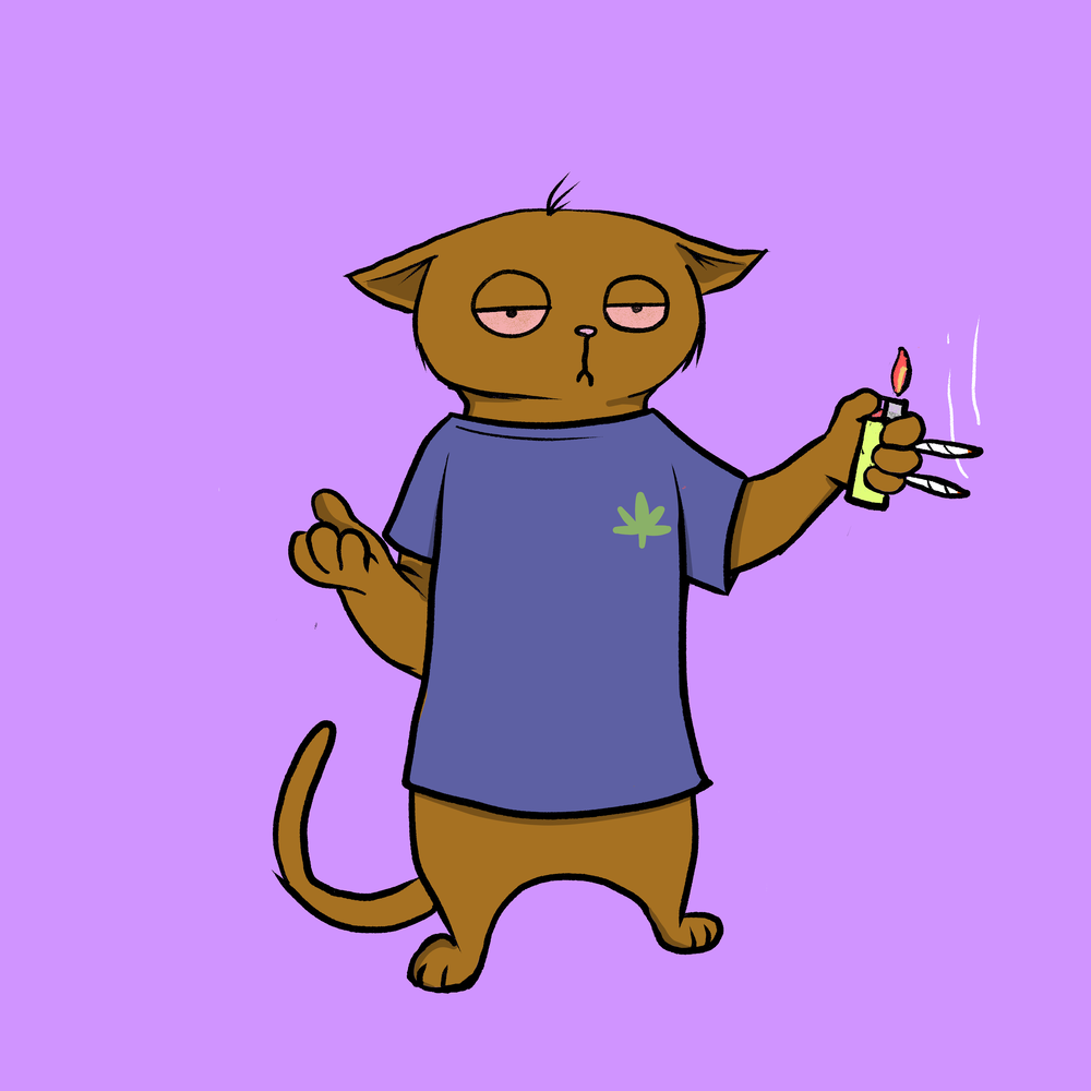 Blazed Cat #6374
