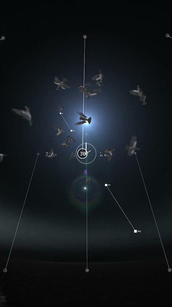 2 am 20 birds