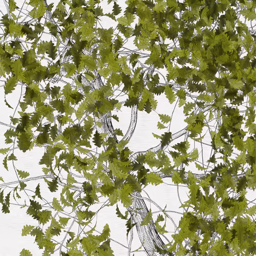 The Oak Tree part #-1,+1