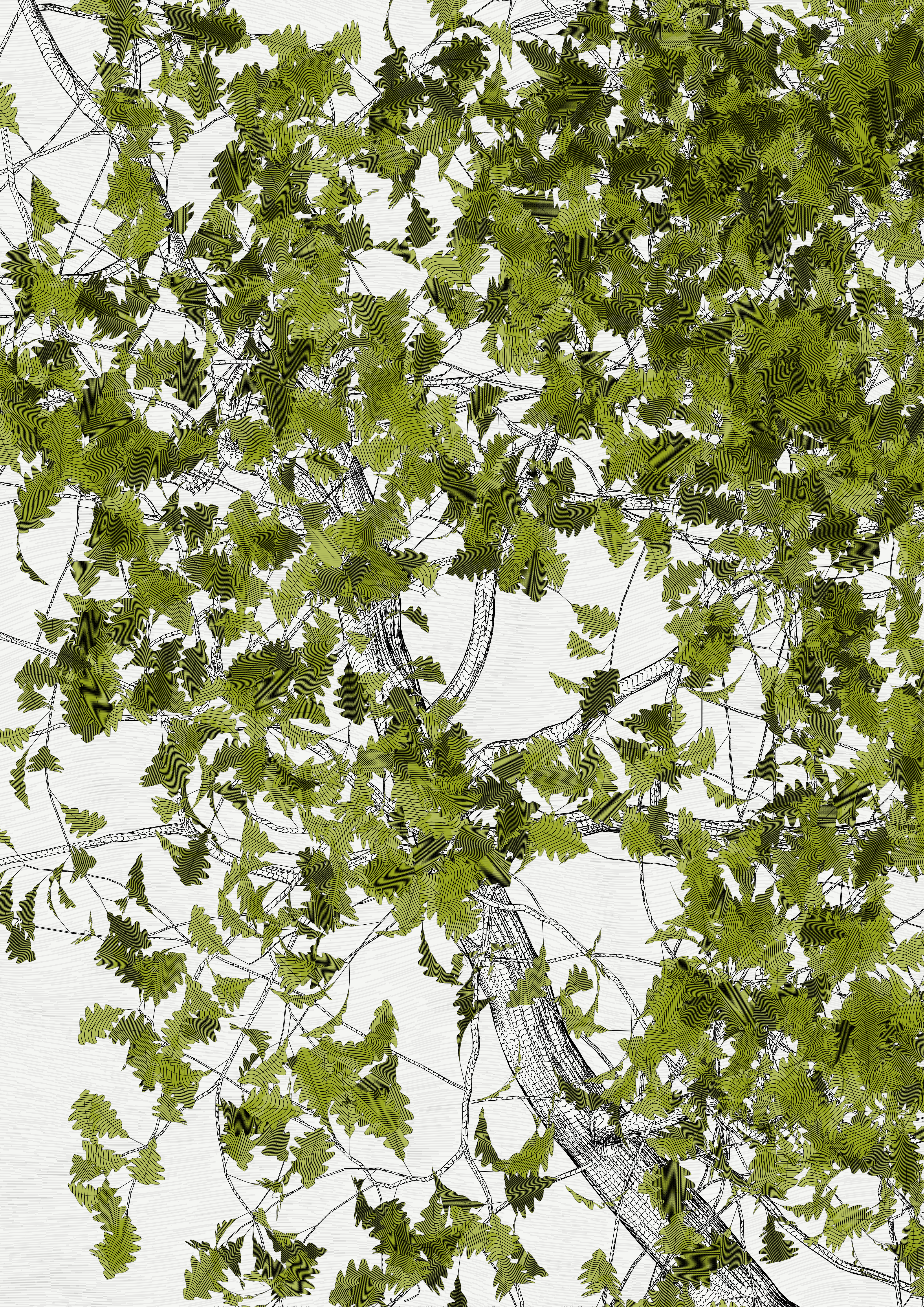 The Oak Tree part #-1,+1