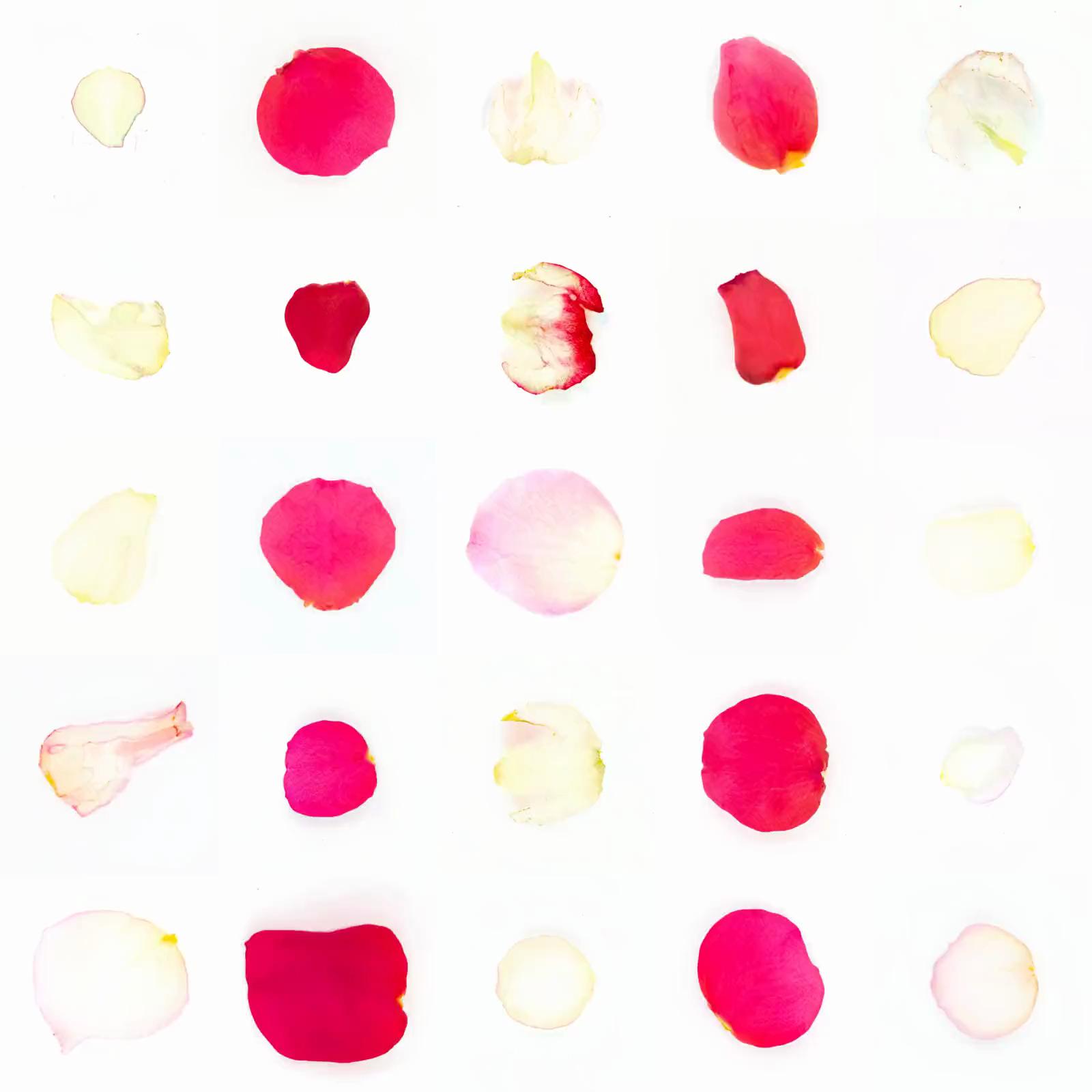 Infinite Petals 5x5#20054