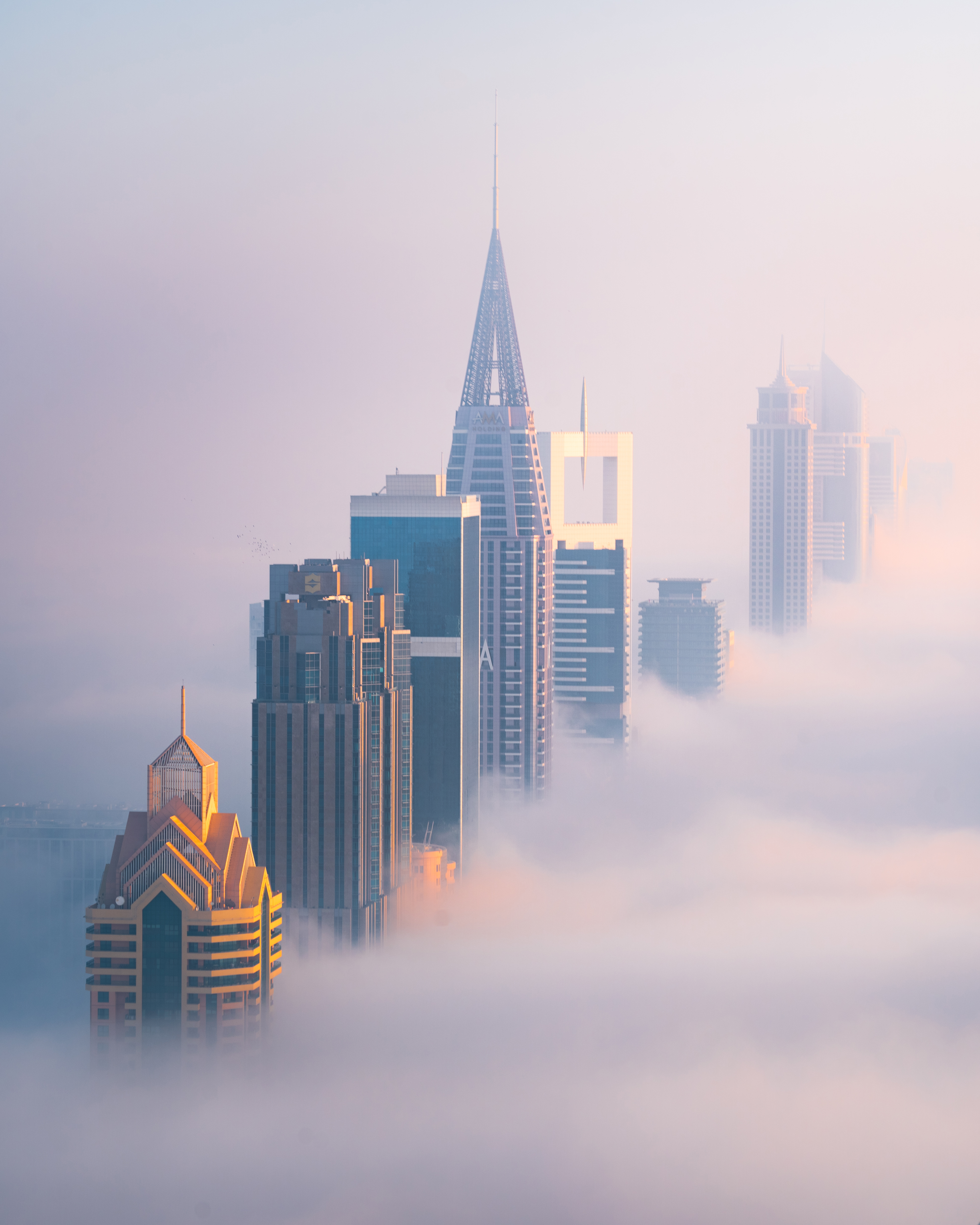 Sky Line