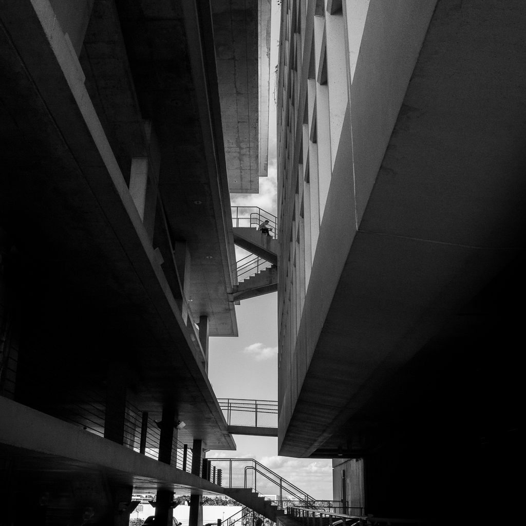 "Presage" - Anticipation of Solitude