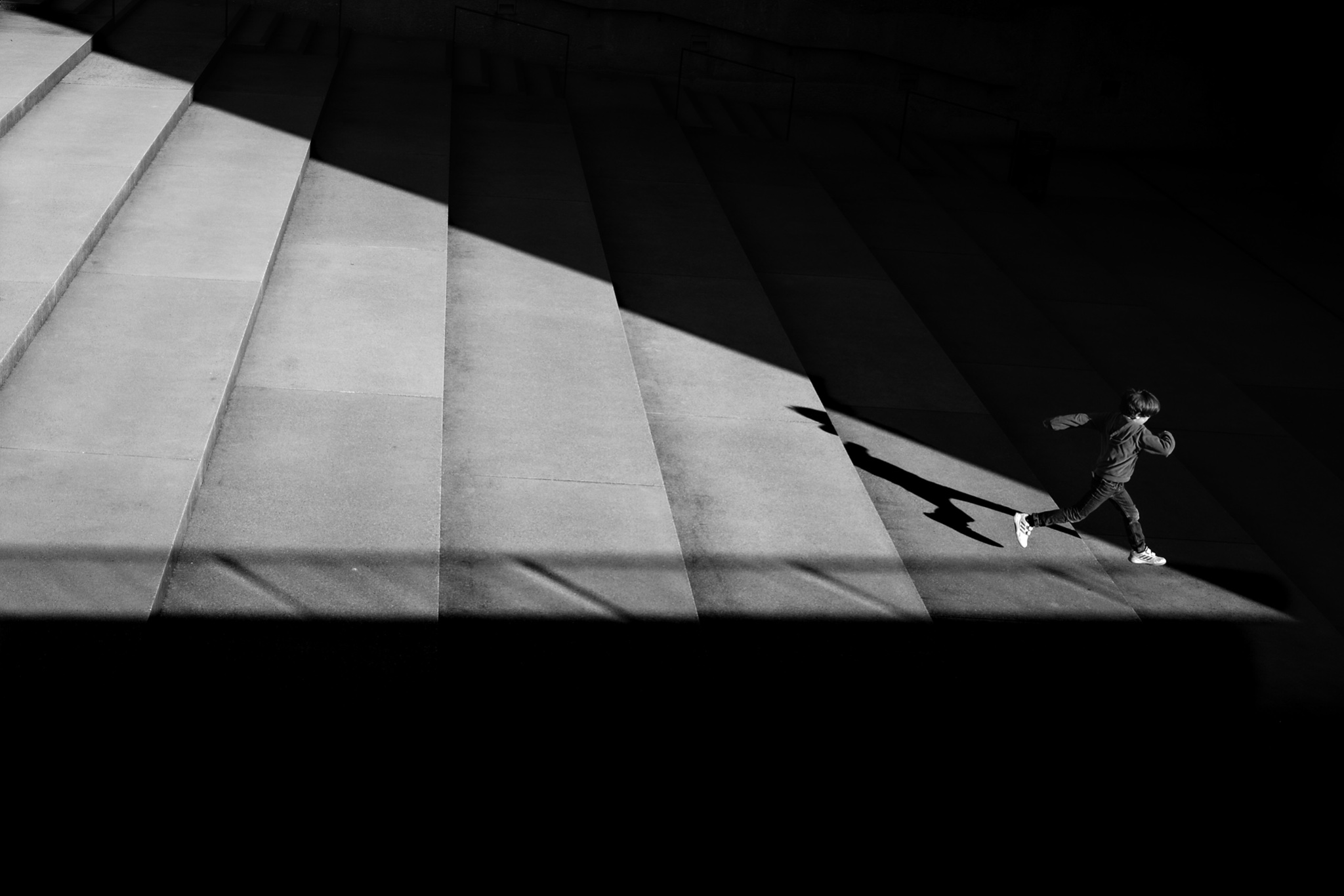 #1 - Triangle of Life