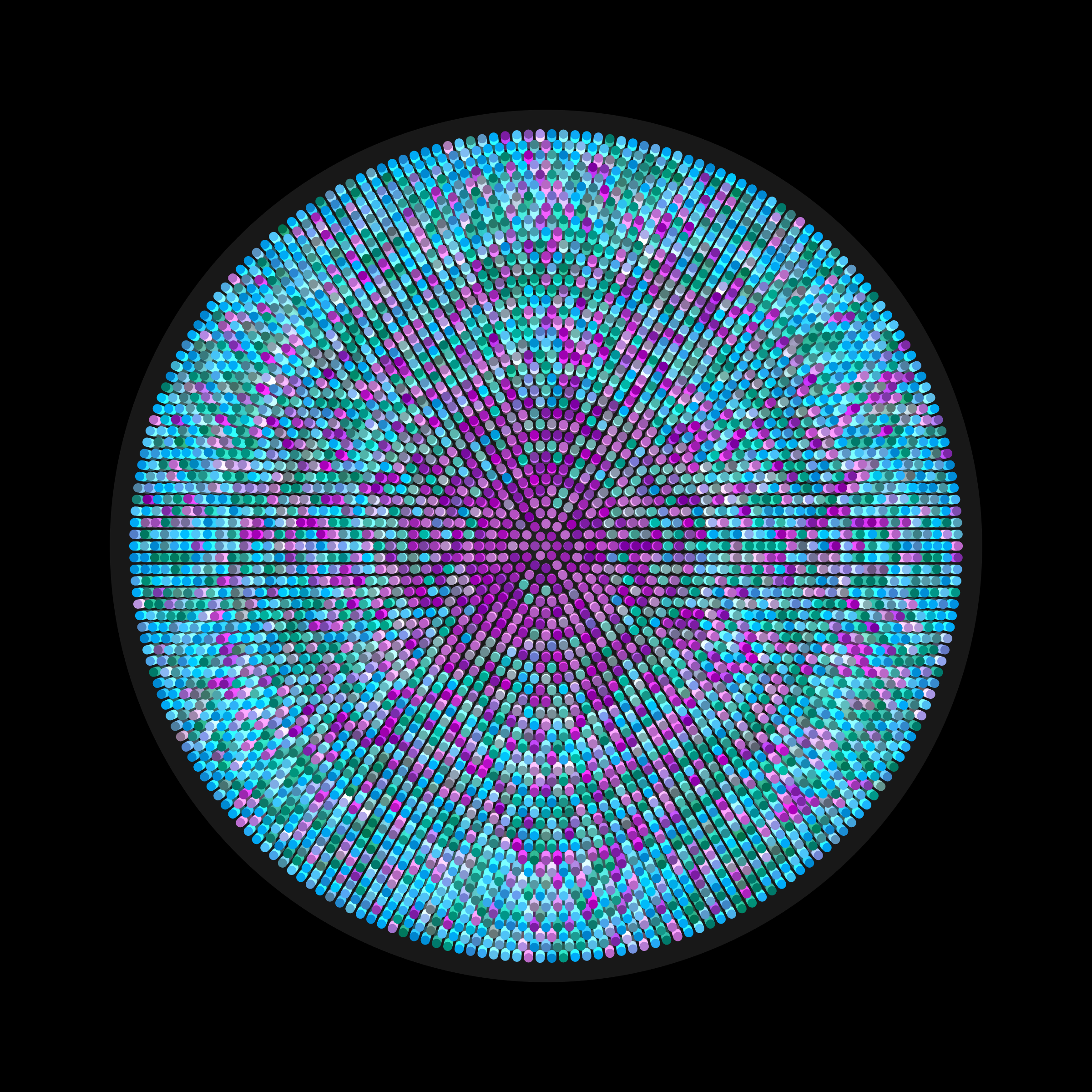 Transitions #2993
