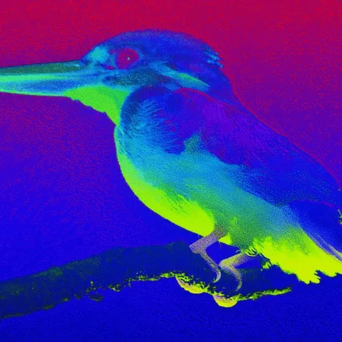 Neon Kingfisher