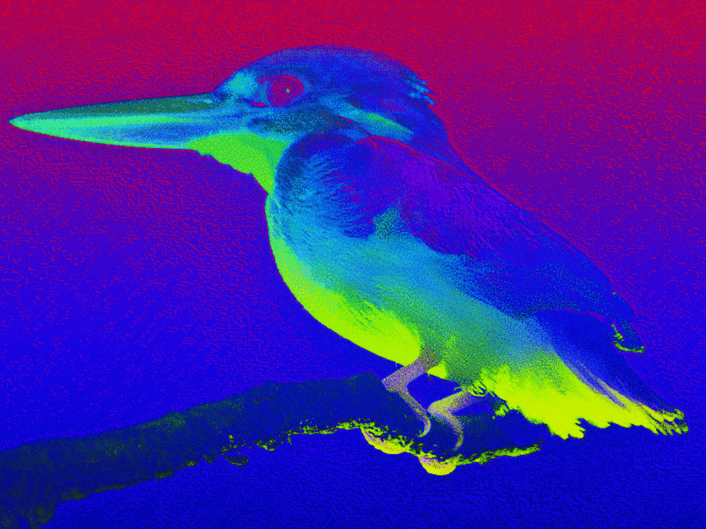 Neon Kingfisher