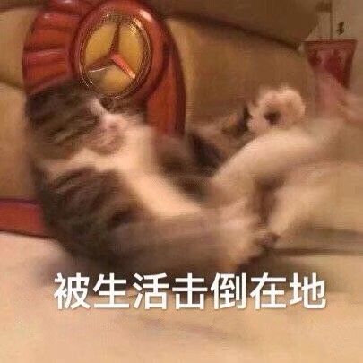 qqq89