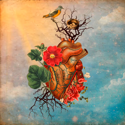 It's Not Only Love - DYDITD