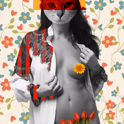 Cat Lady - Mixed Media