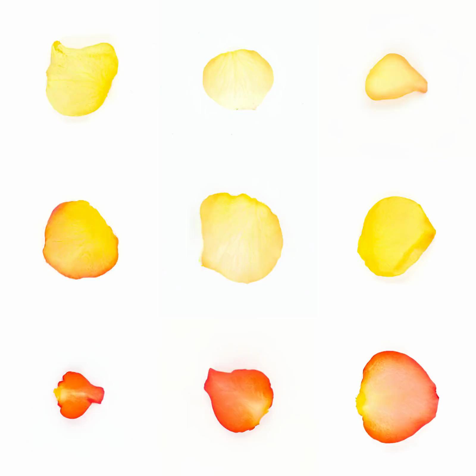 Infinite Petals 3x3#2618
