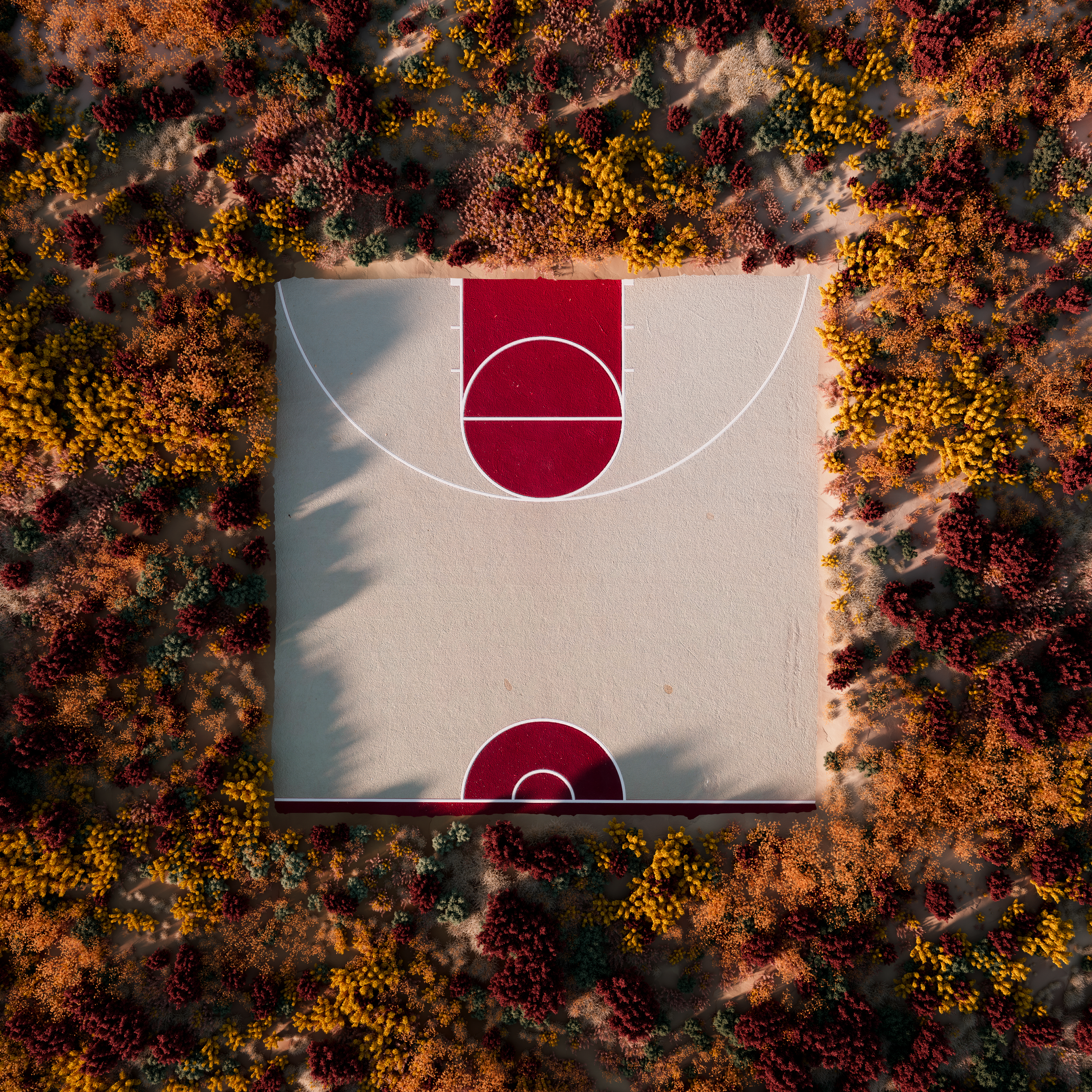 Floral Court #2/5