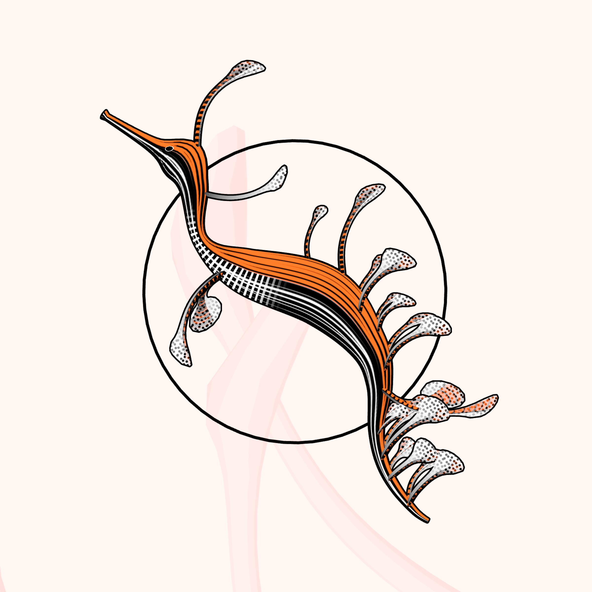 Seadragons #772