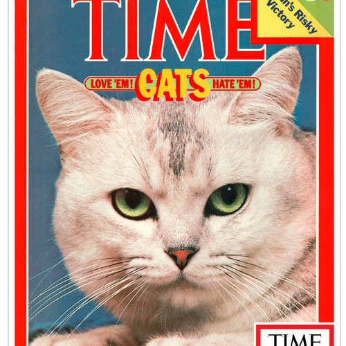 TIME Cats Love 'em! Hate 'em! - December 7th, 1981