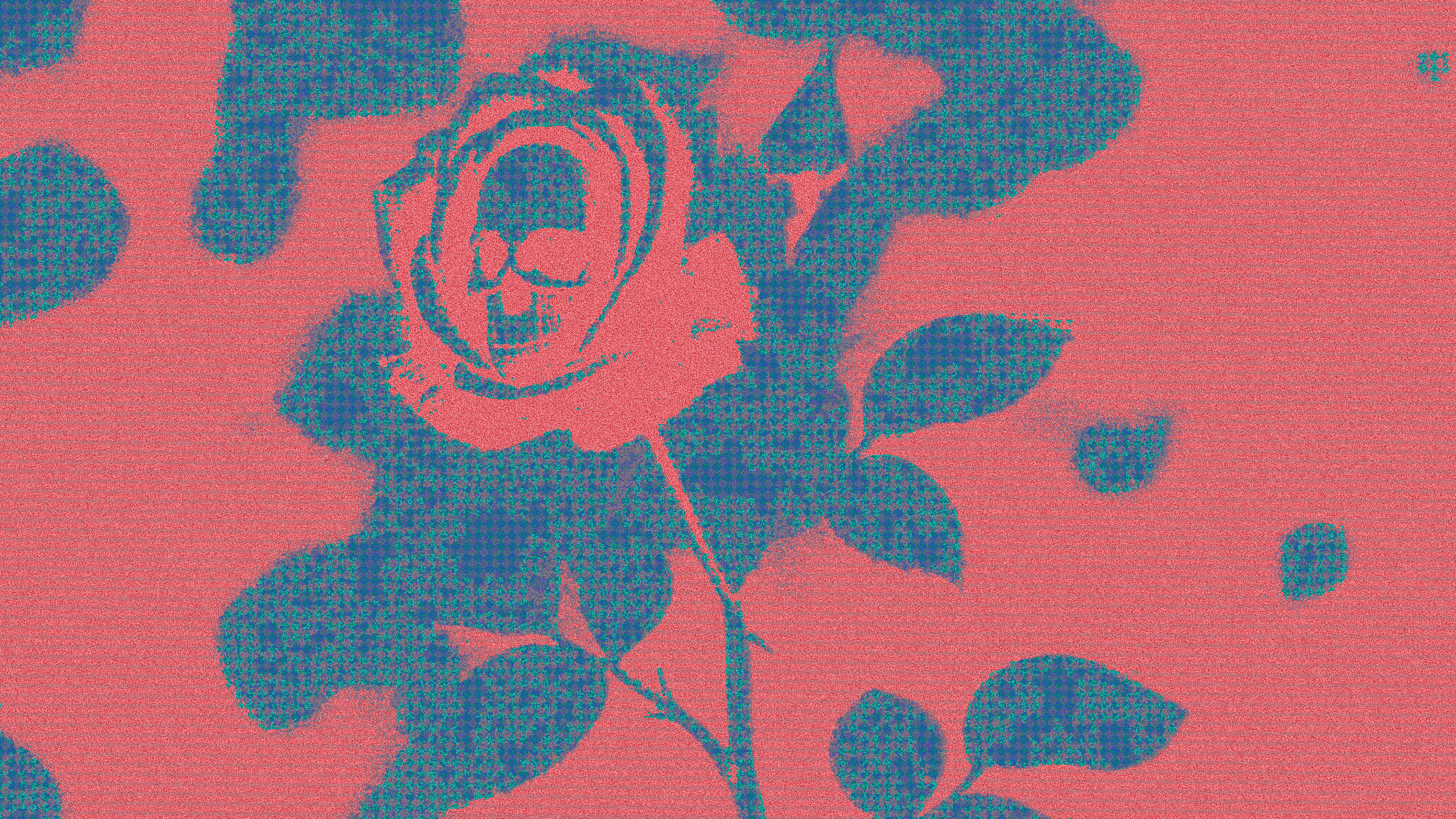 rose, until