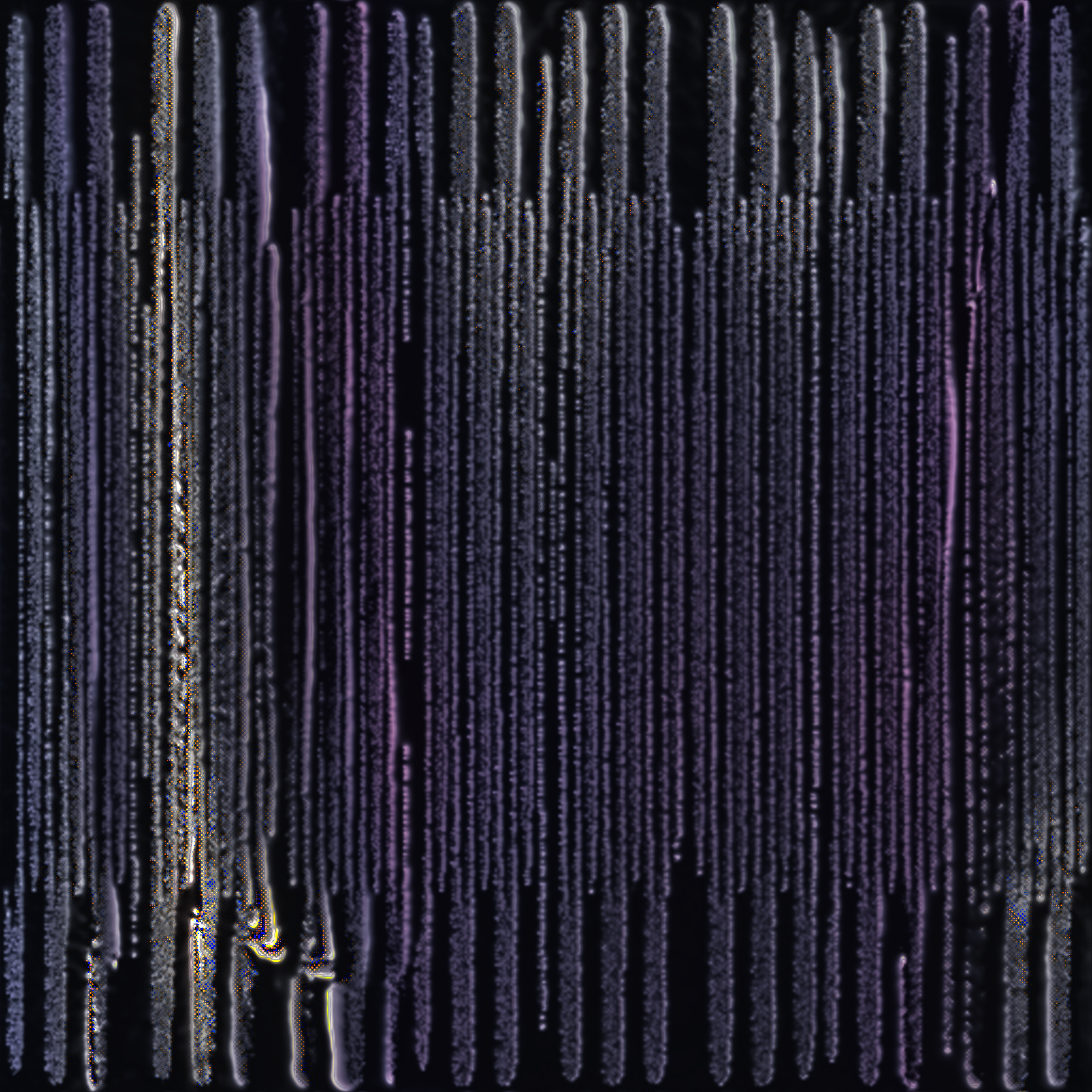Calian #65