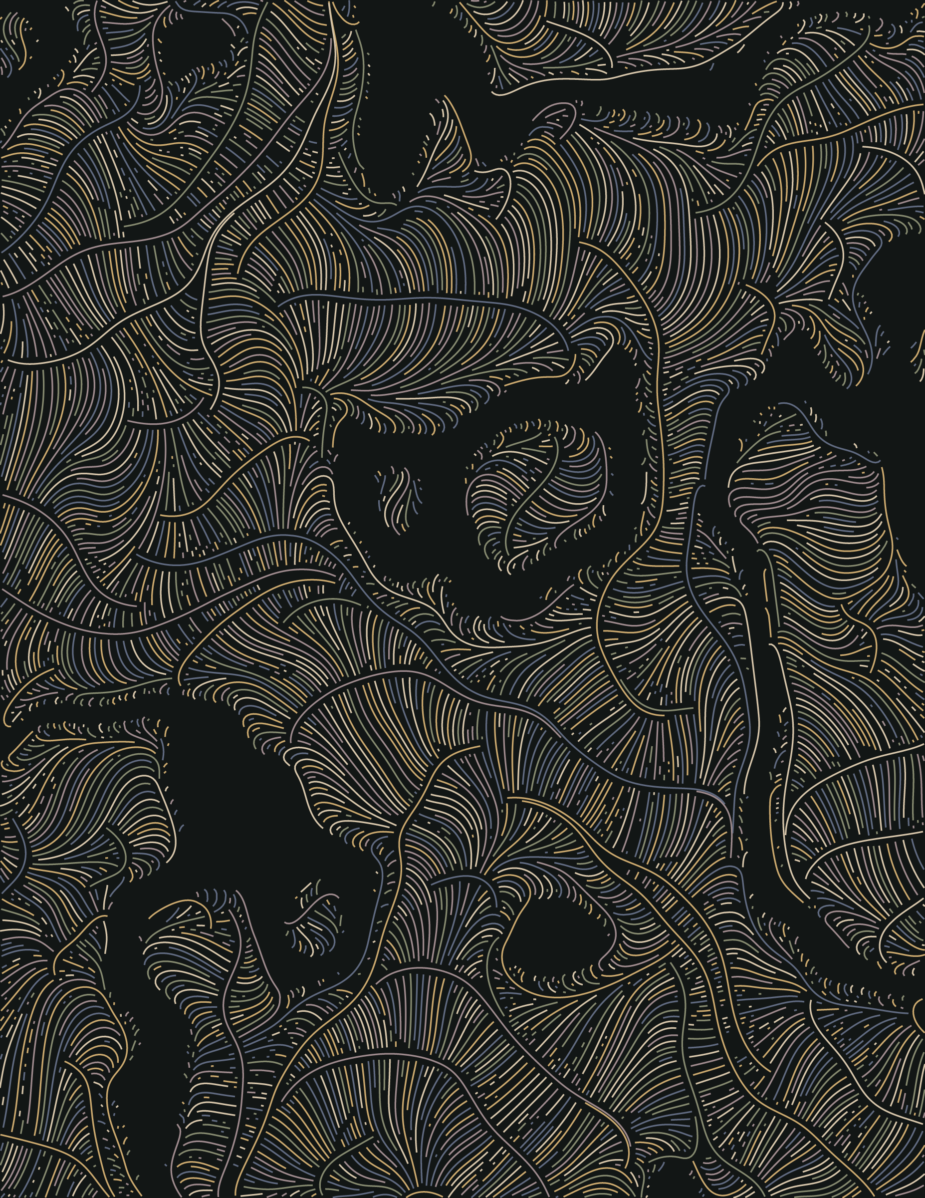 Streamlines #164