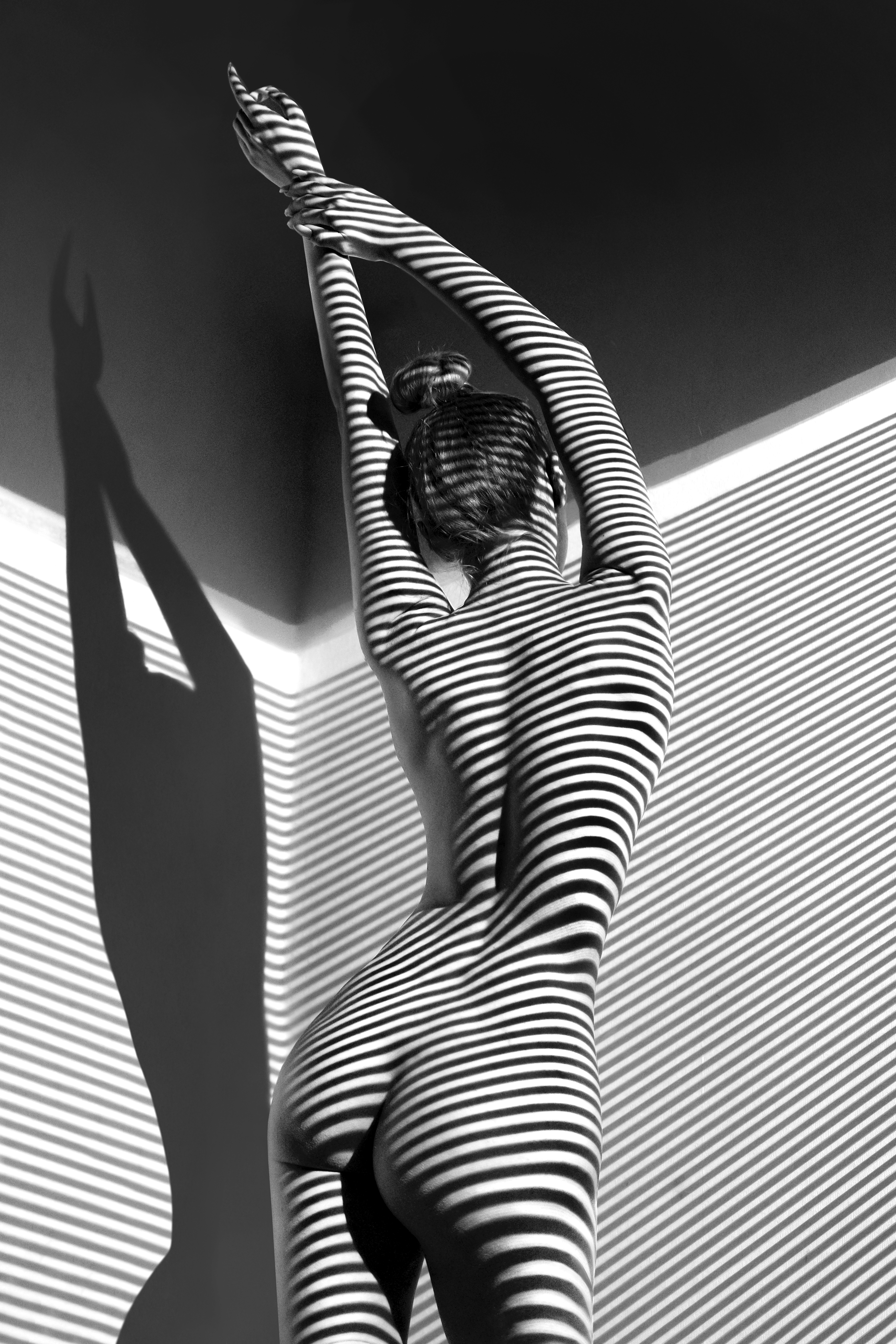 Shadows #67