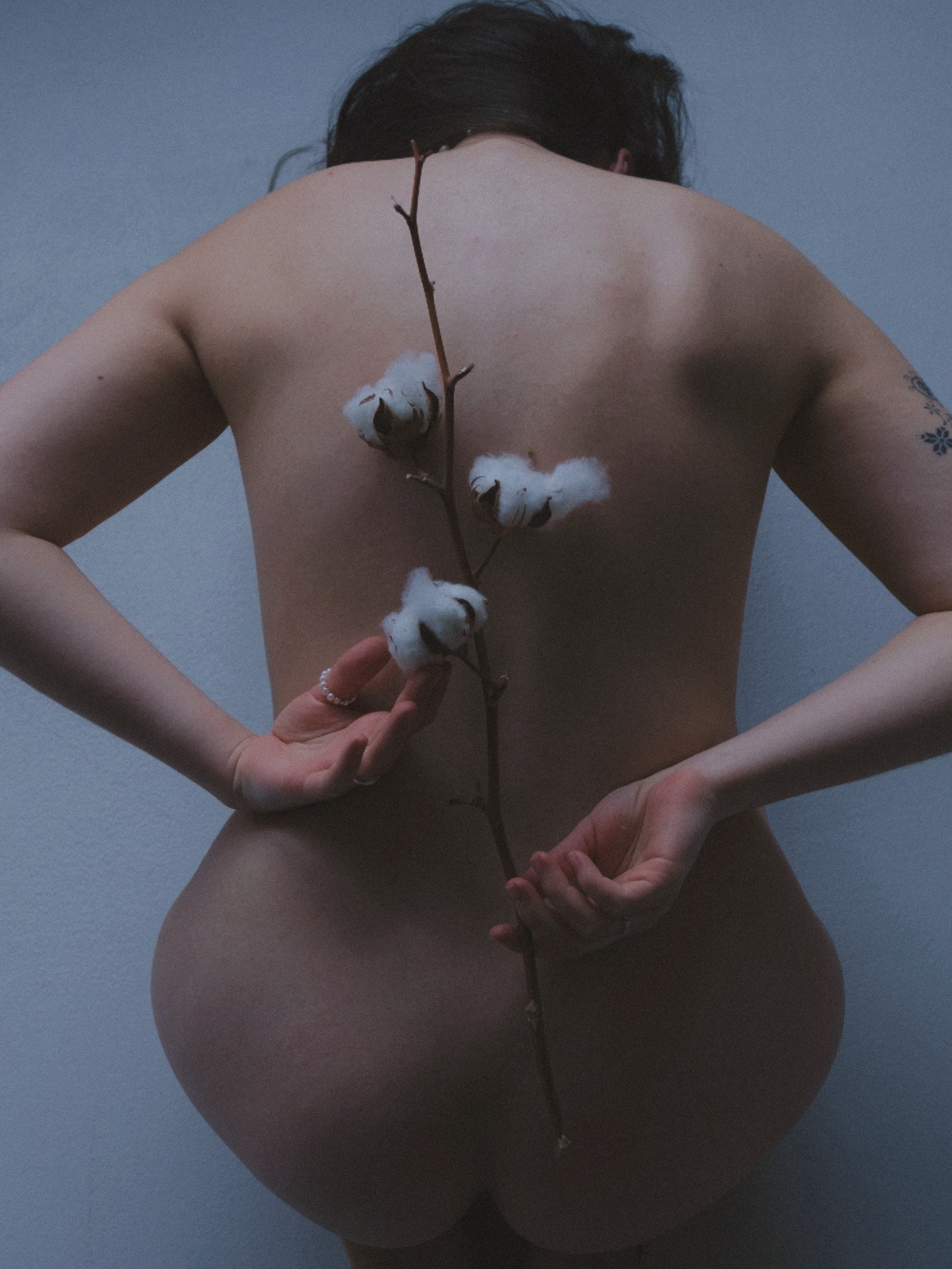 White Cotton Silence