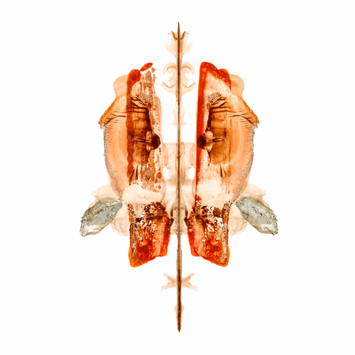Aggression and Sexuality // urges and impulses (#31) 