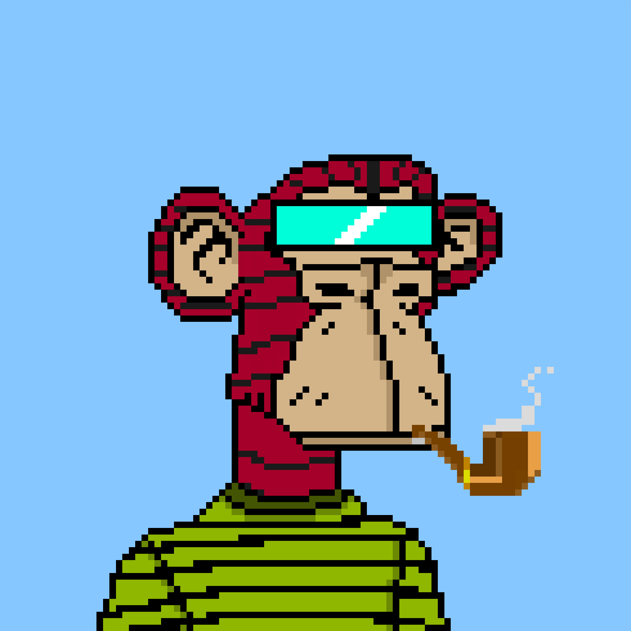 Crypto Ape Polygon Club
