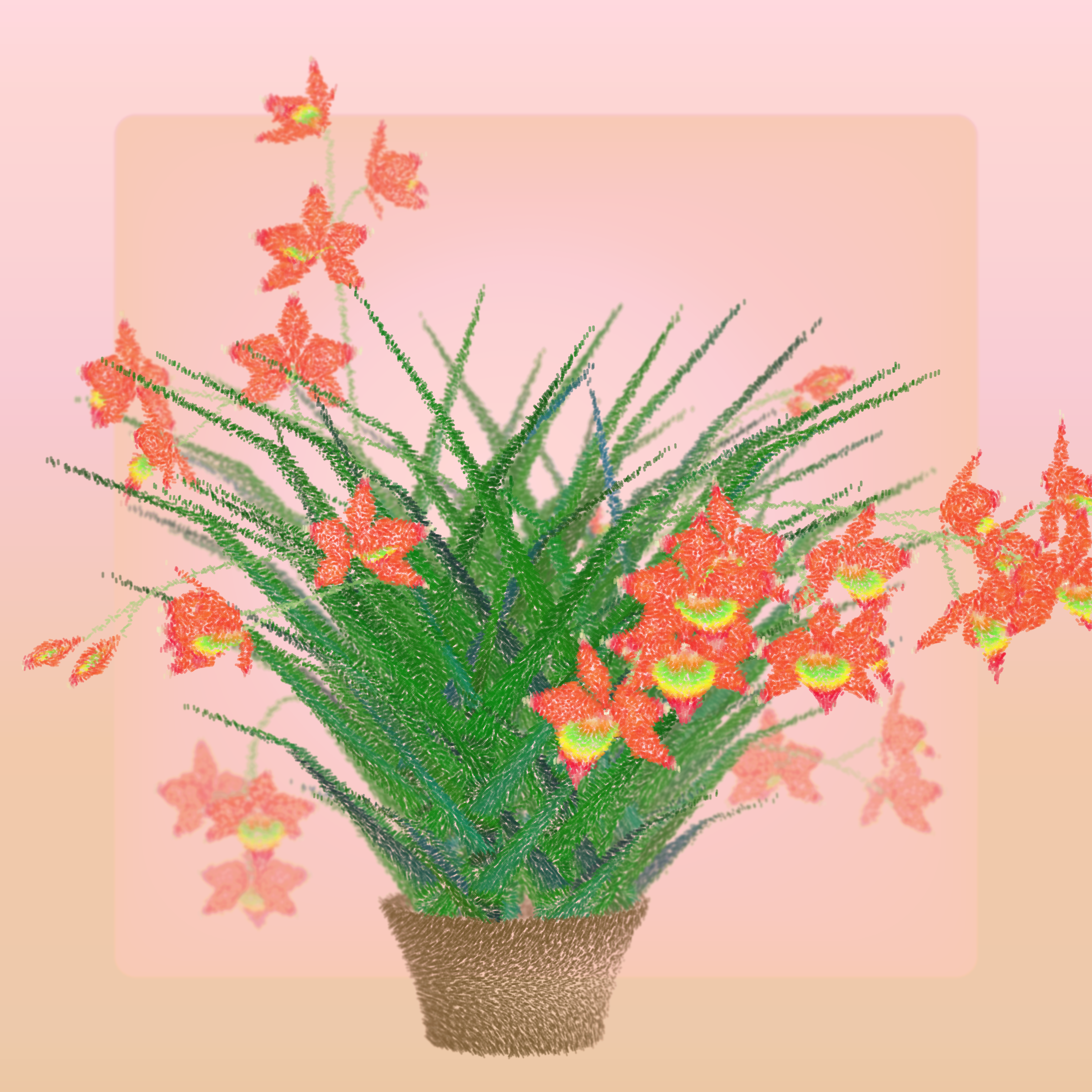 Cattleya #261