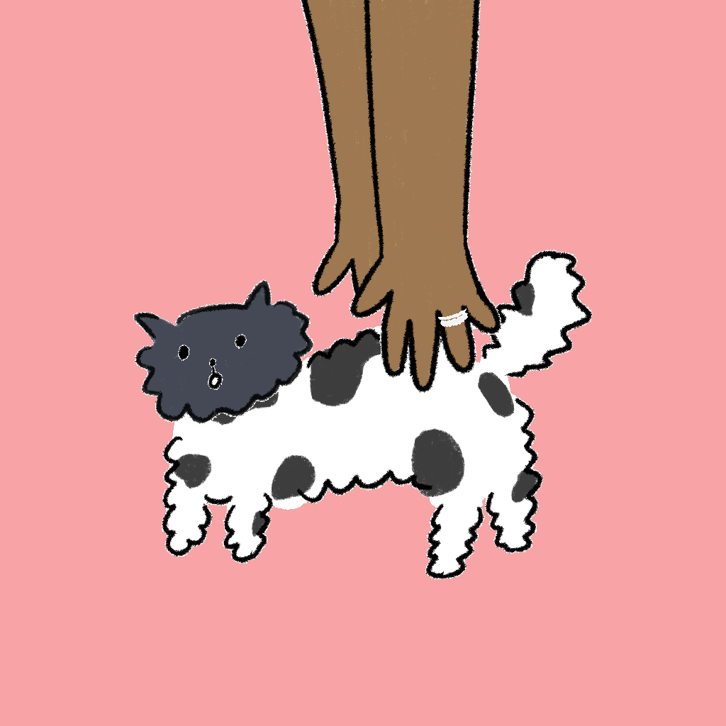 #100 Hashimoto Cat