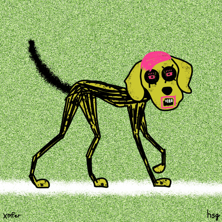 dog #27