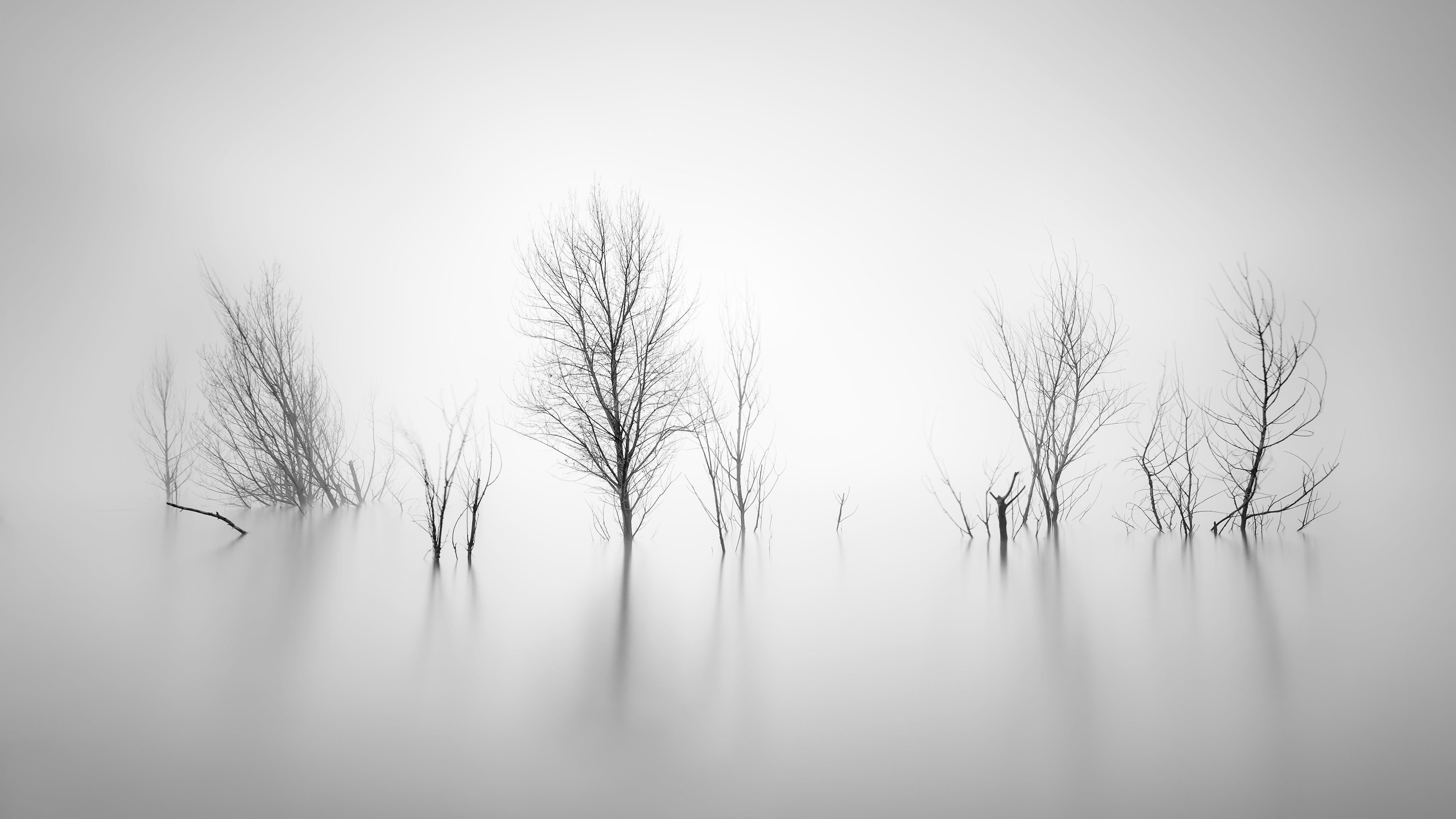 Ghosts