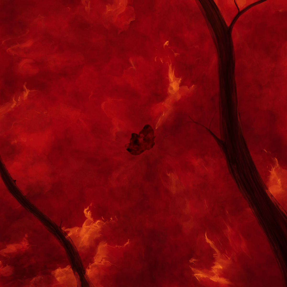Flutter Into The Embers | Cardinal