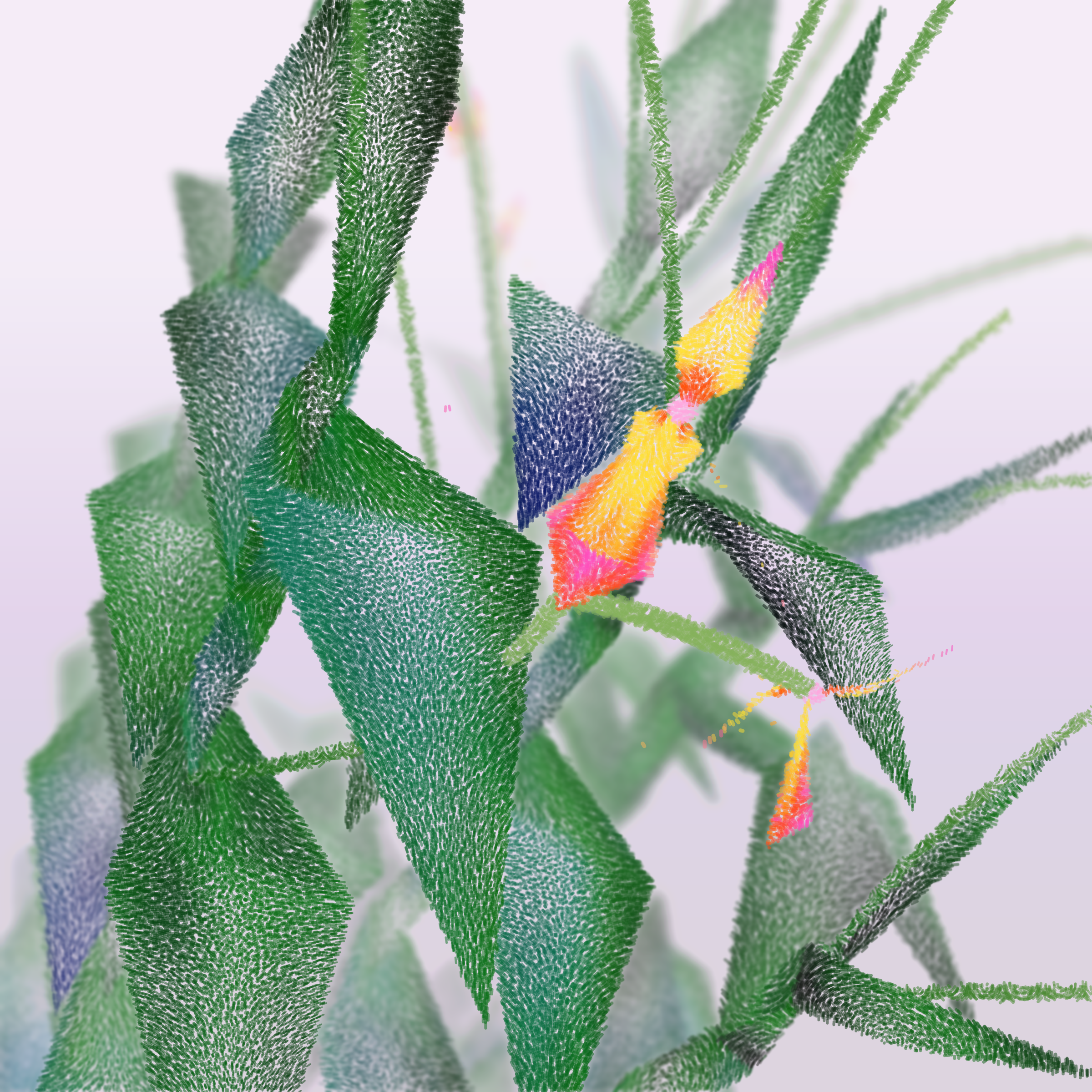 Cattleya #184