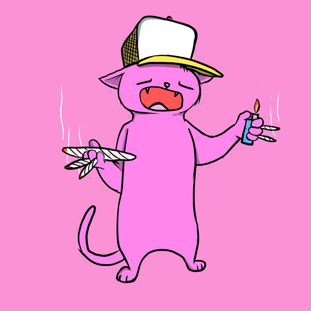 Fanzo Blazed Pink Cat