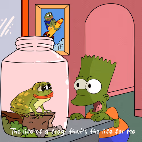 The Life Of a Frog