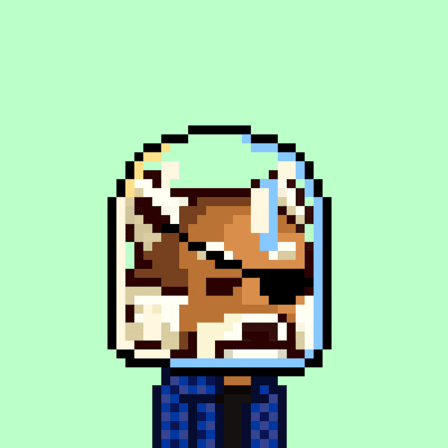 Red panda