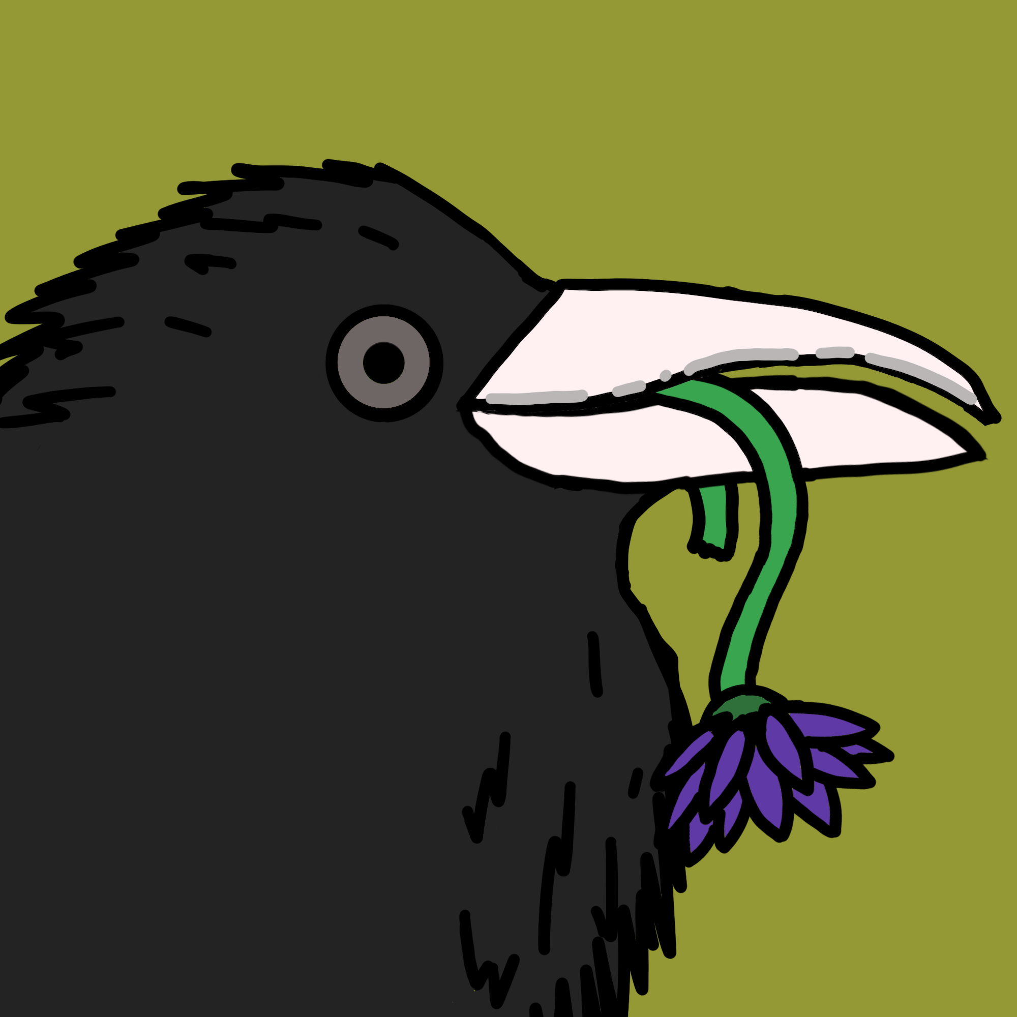 Crow Friends #556