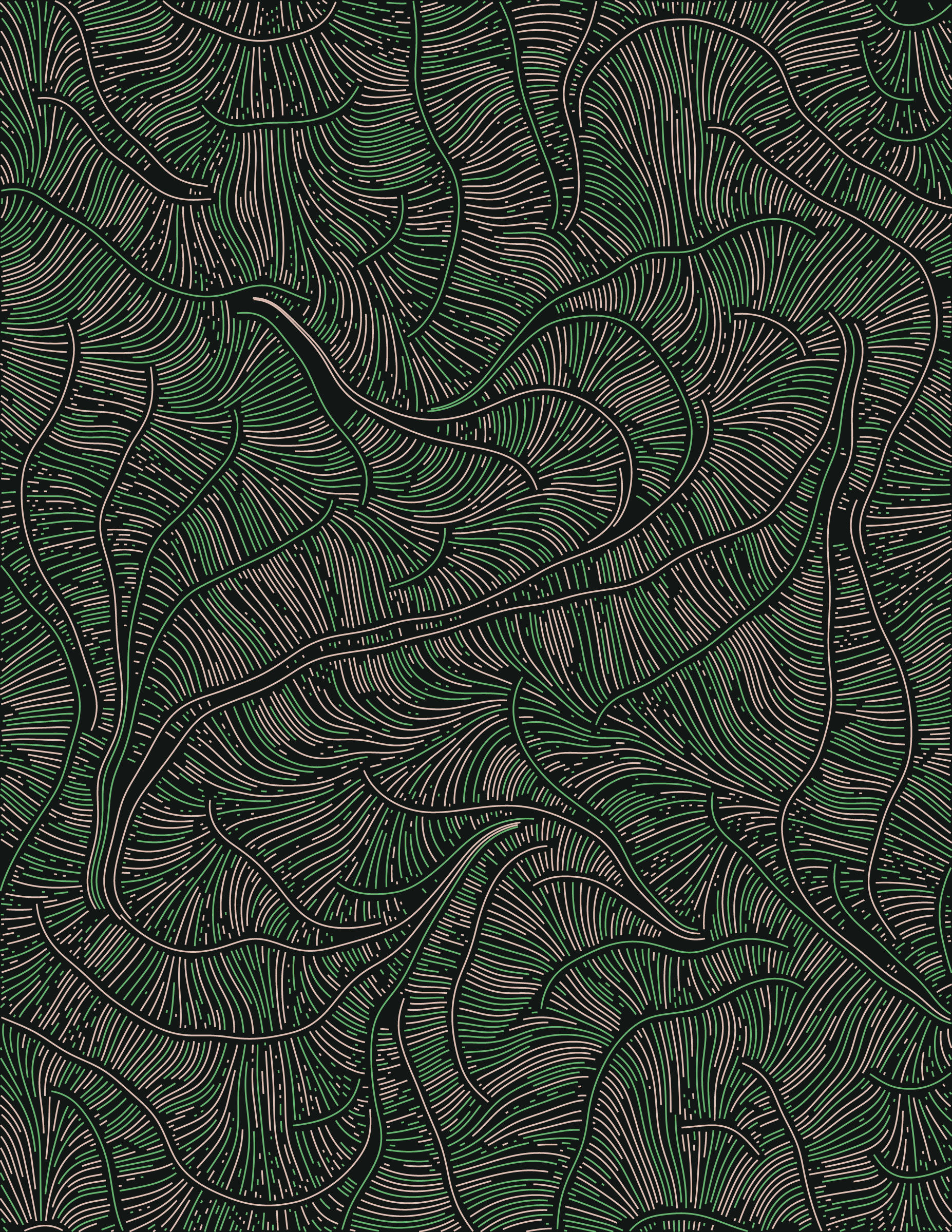 Streamlines #375
