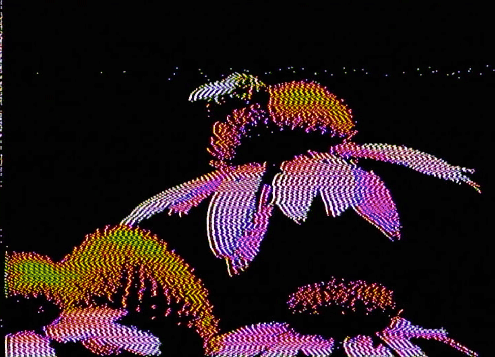 _ambrosia