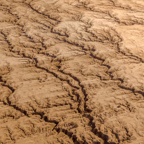 Earthly Veins
