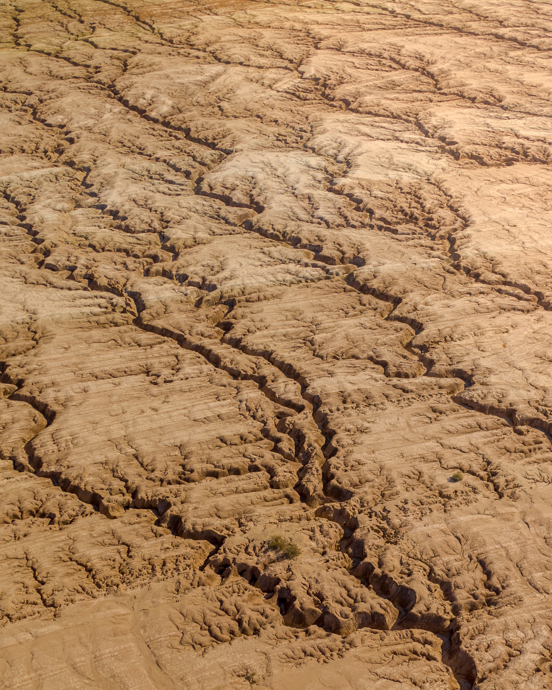 Earthly Veins