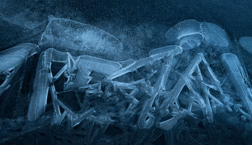 Rune