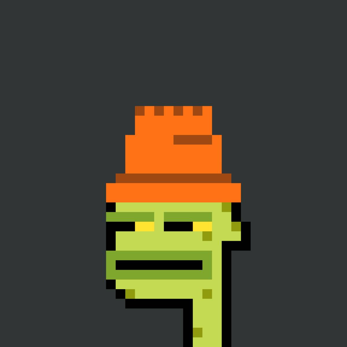 PunkToadz #1011
