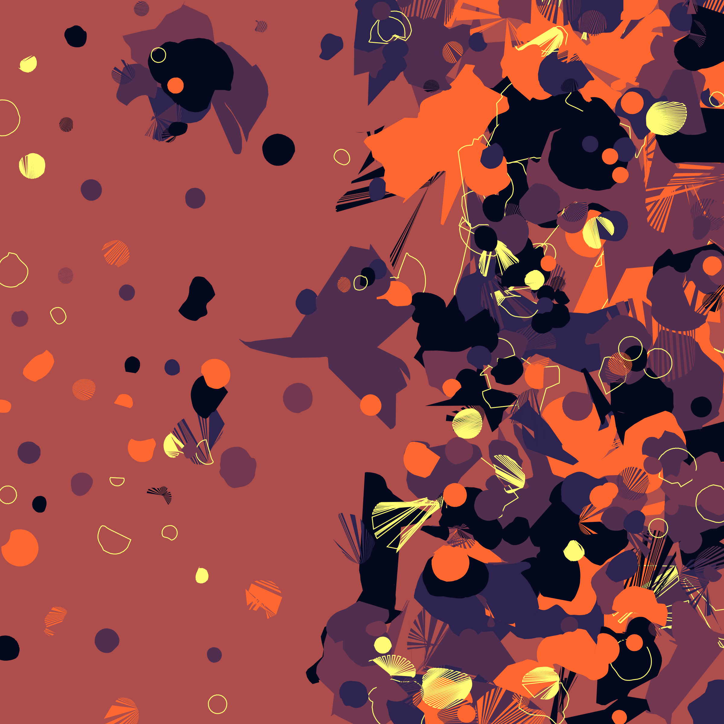 Coquina #1