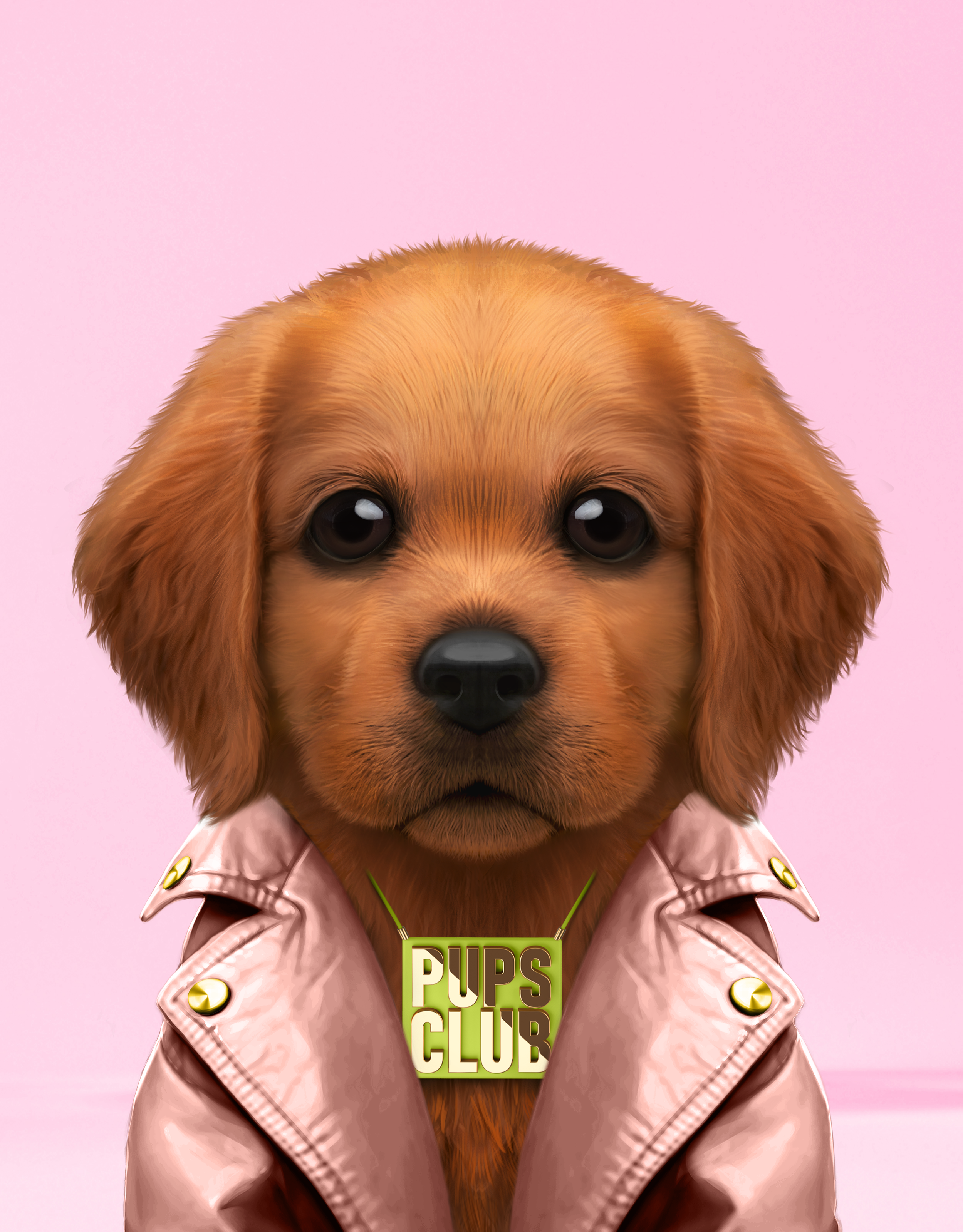 Pup #7482