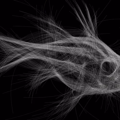 Underwater 229
