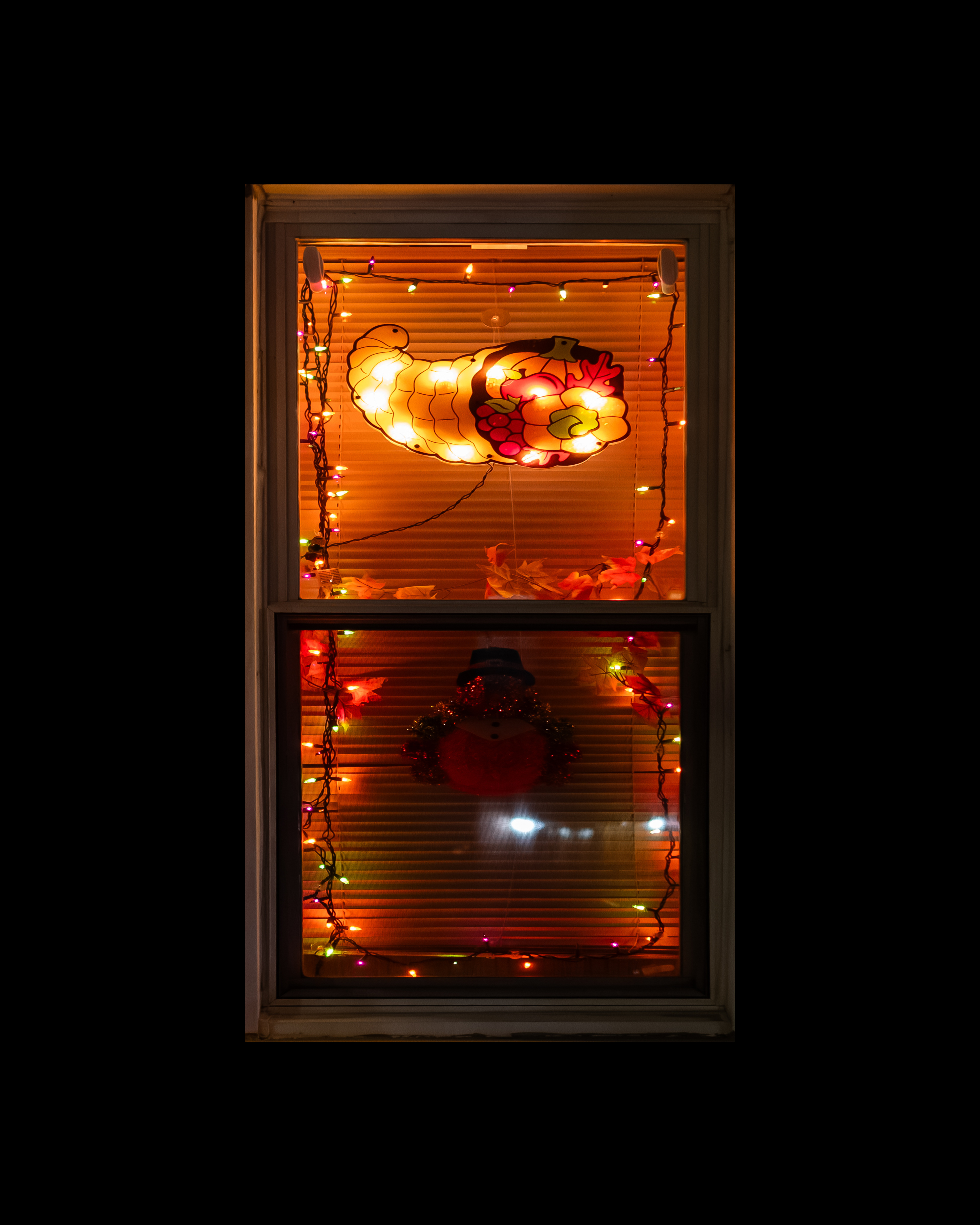 WINDOW 460