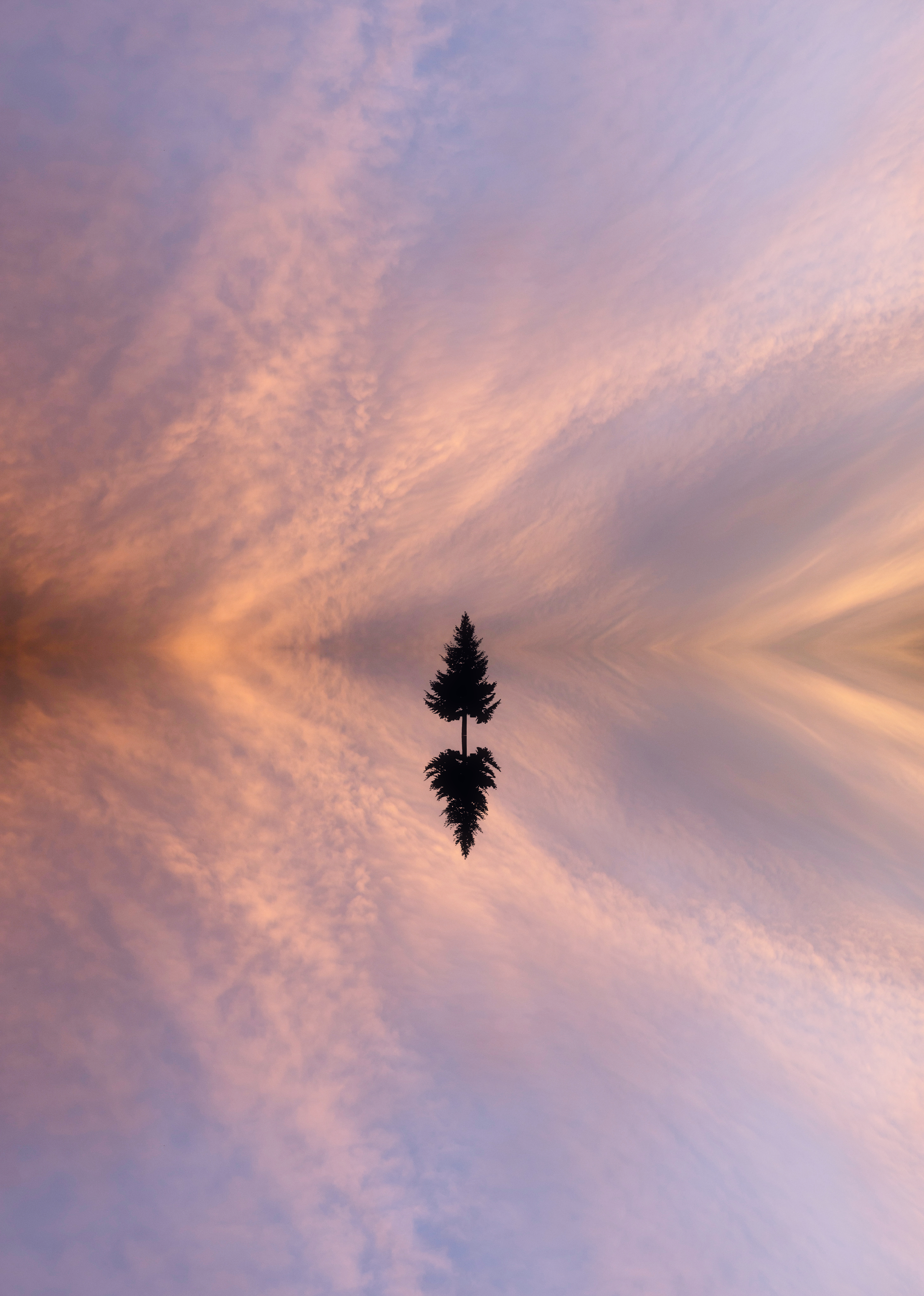 Reflection #77