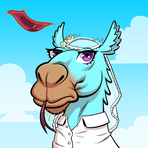 Arabian Camel #10647
