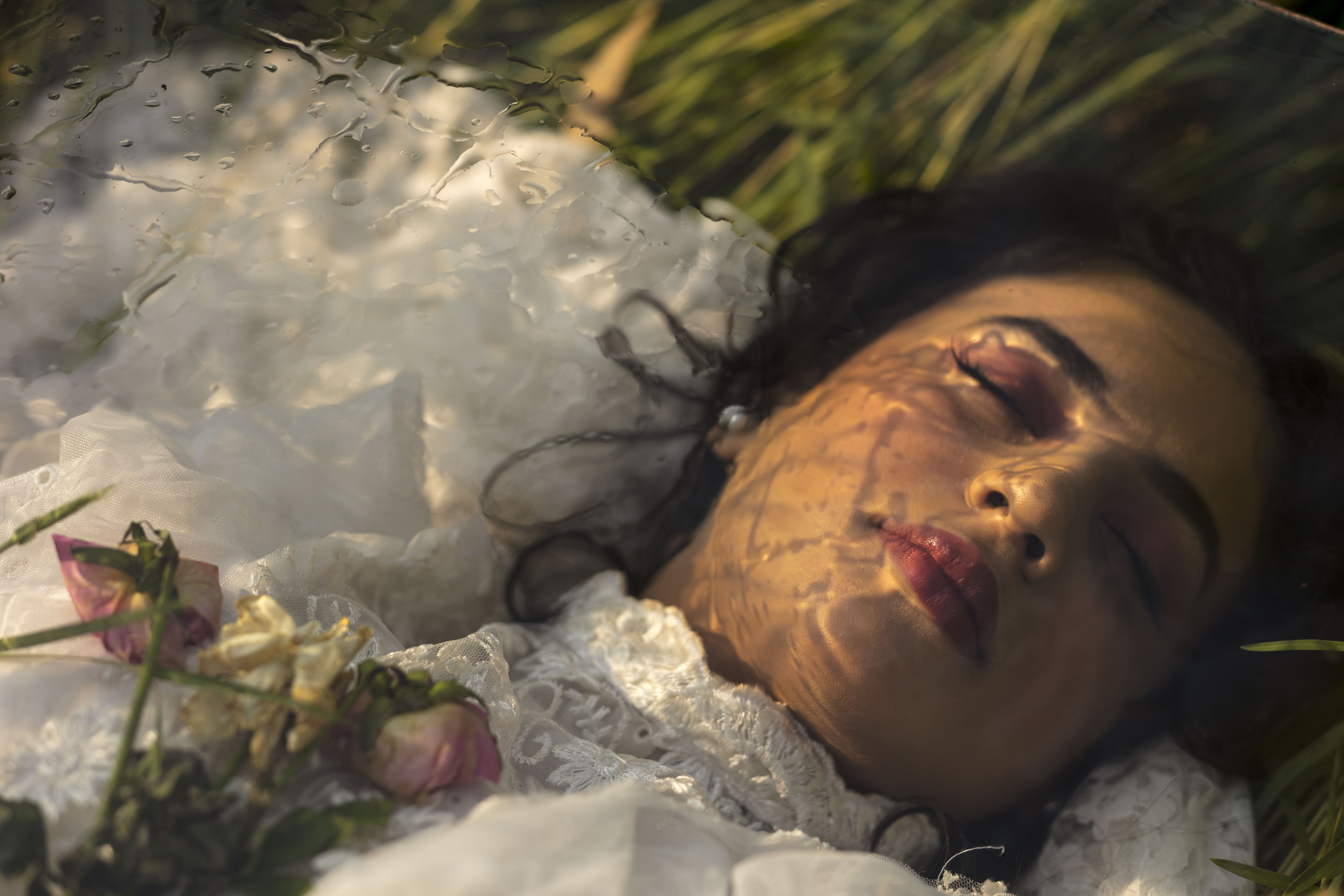 The fragrance of a dead Rose