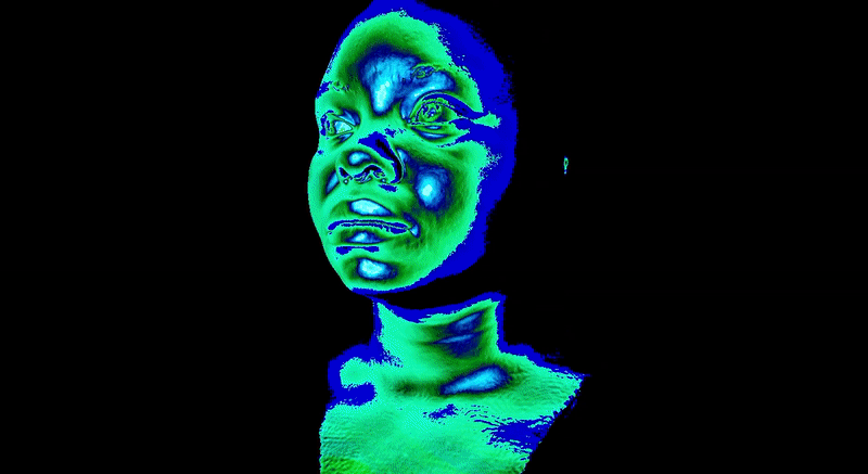 Self Portrait 