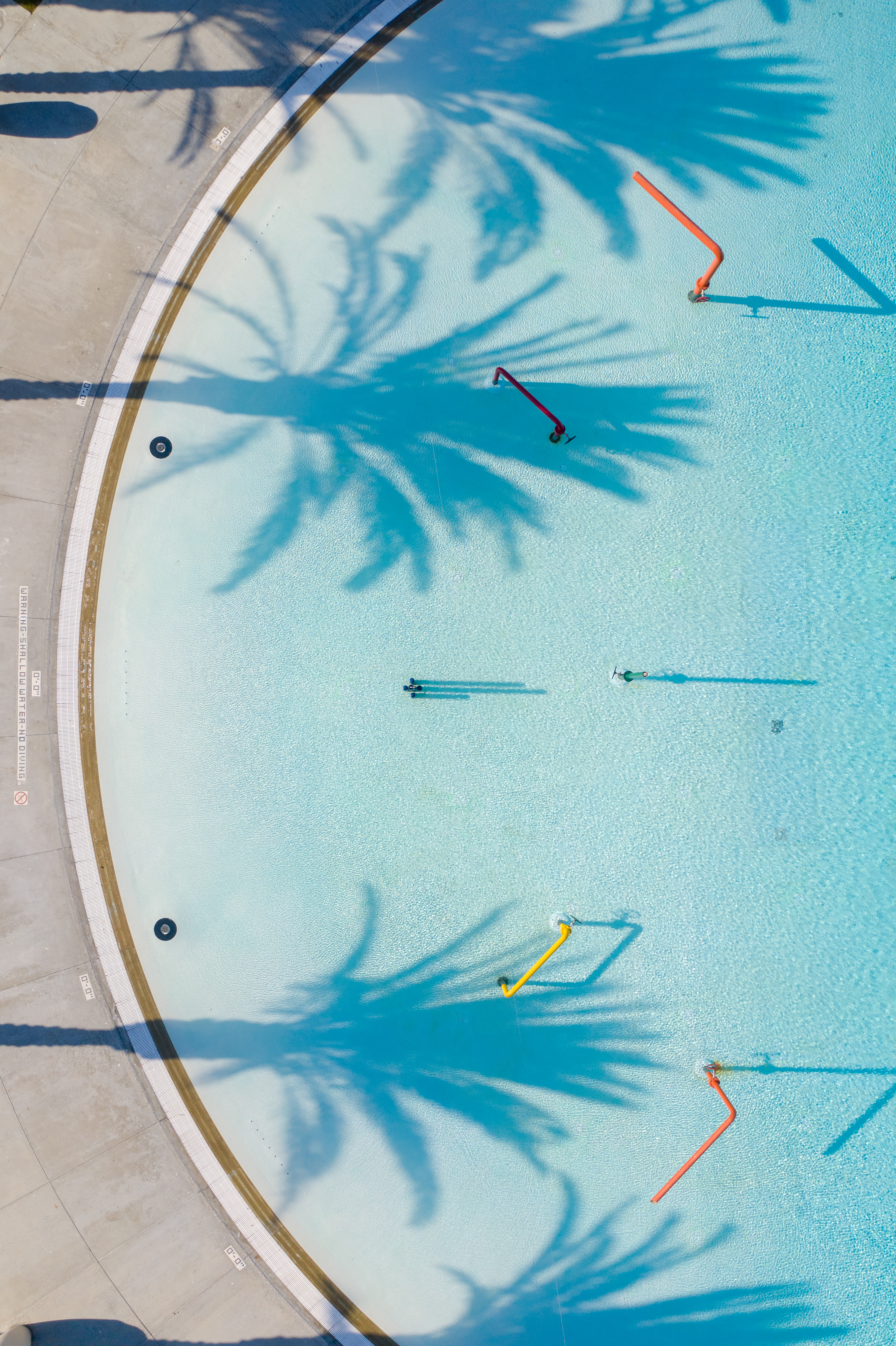 Palms